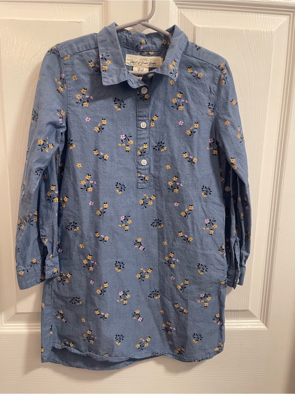 H&M Blue Floral Button-Front Shirt Dress
